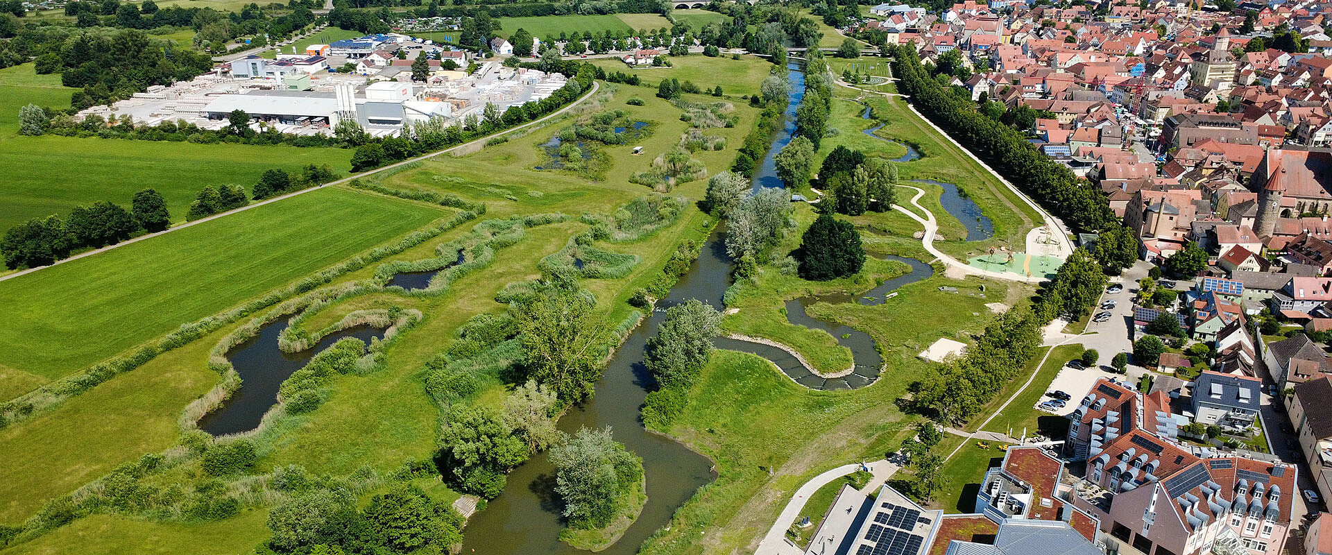 Die neu angelegten Altmühlauen