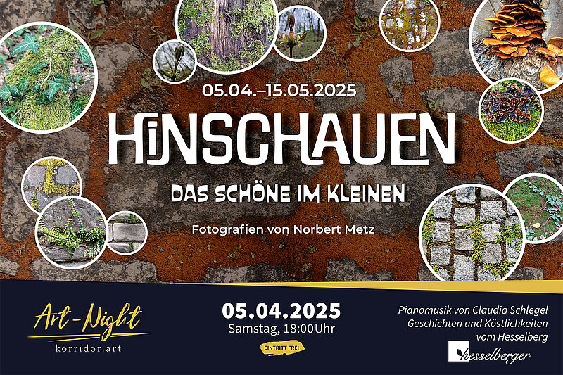 korridor.art | Ausstellung - Hinschauen - Norbert Metz