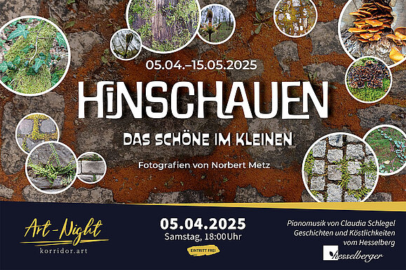 korridor.art | Ausstellung - Hinschauen - Norbert Metz